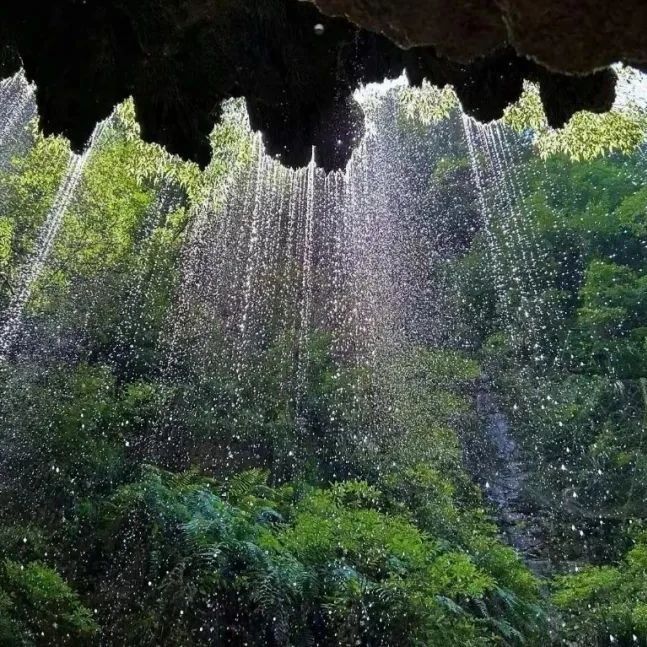 向山而行，向新而生 | 同创伟业2025年湘西团建记