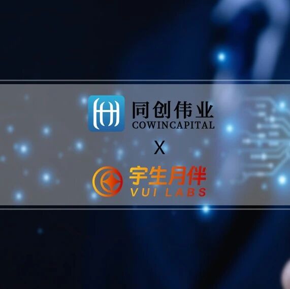 「VUI Labs 宇生月伴」 完成数千万元天使+轮融资，同创伟业领投